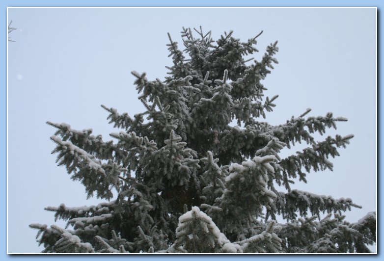 Arnhem Snow 077